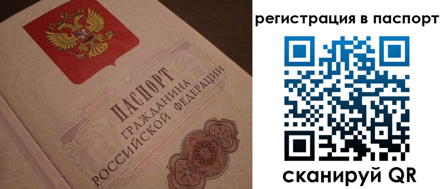 временная регистрация надежно в Тверской области